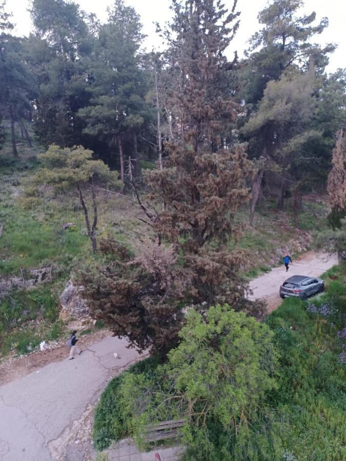 Ένα Μέρος Για Ήσυχες Διακοπές Ioannina Exterior foto